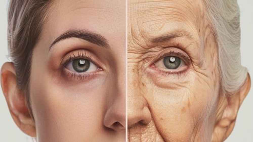 Picture of woman with left half young and right half aged and older