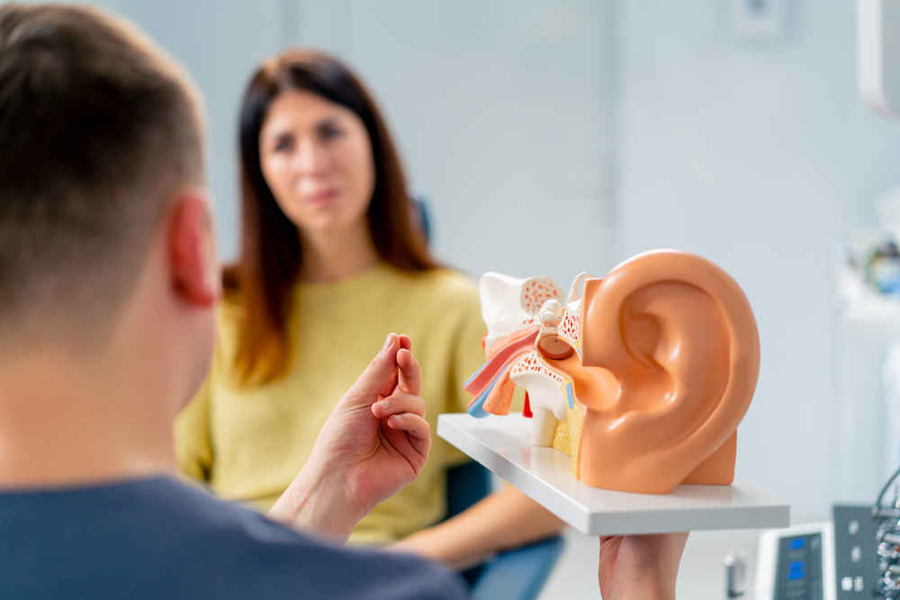 An ENT doctor shows the anatomy of an ear to a patient